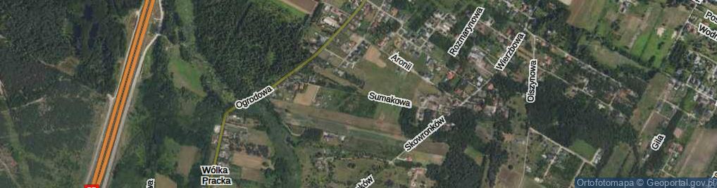 Zdjęcie satelitarne Sumakowa ul.